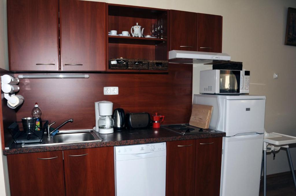Arany Szolo Wellness Apartmanhaz Heviz Bilik gambar